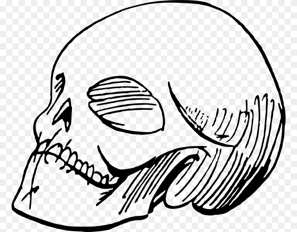 Drawing Line Art Skull Painting Cartoon, Gray Png Image