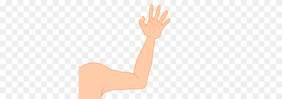 Drawing Linkedin Arm, Body Part, Person Free Transparent Png