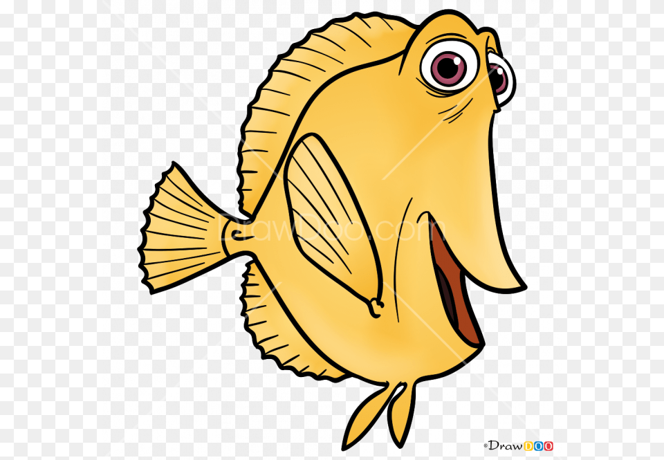 Drawing Nemo Draw Something Transparent Clipart, Animal, Fish, Person, Sea Life Free Png