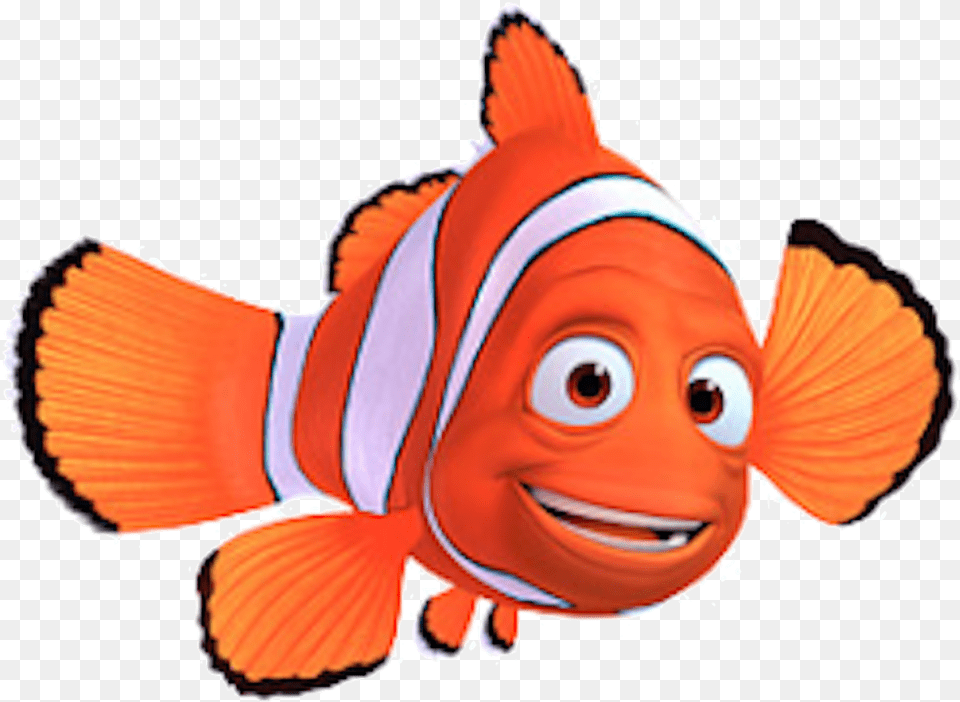 Drawing Nemo Side View Marlin, Amphiprion, Animal, Fish, Sea Life Free Transparent Png