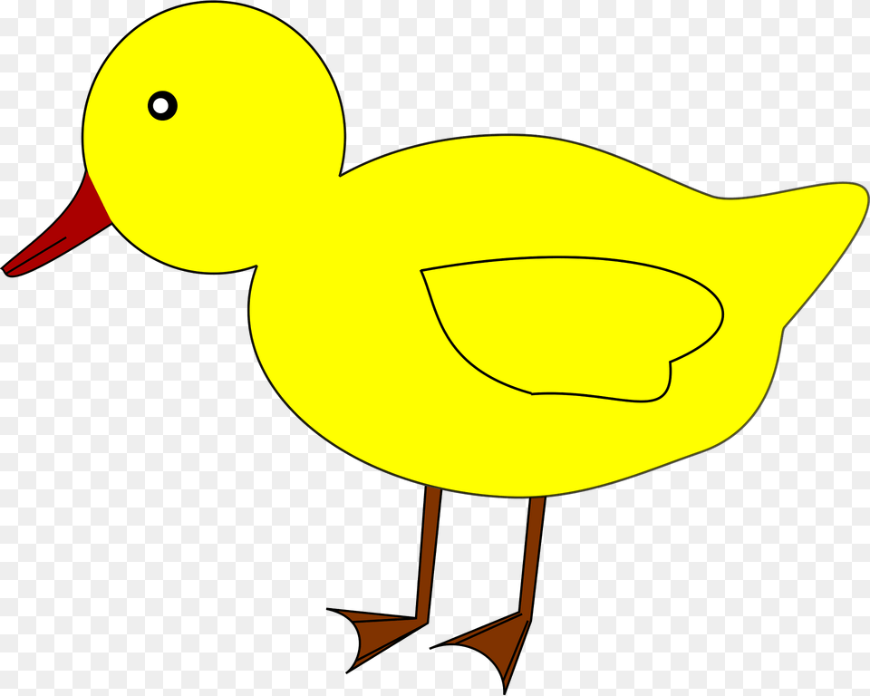 Drawing Of A Duck Clipart, Animal, Bird, Fish, Sea Life Png Image