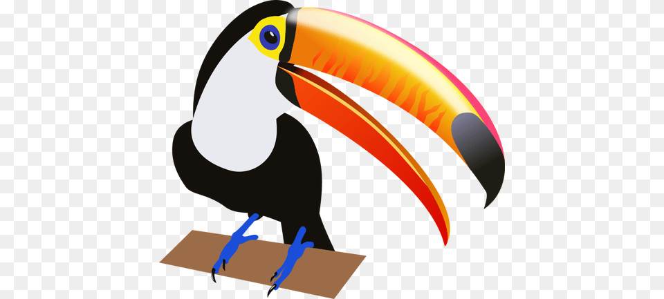 Drawing Of A Tropical Bird, Animal, Beak, Person, Toucan Free Png Download
