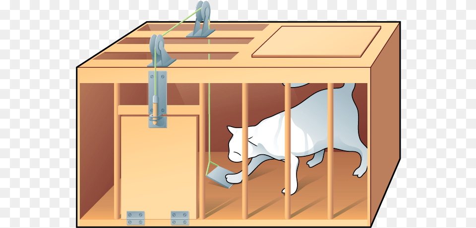 Drawing Of A White Cat In A Rectangular Box Cartoon, Indoors, Den, Crate, Wood Free Png Download