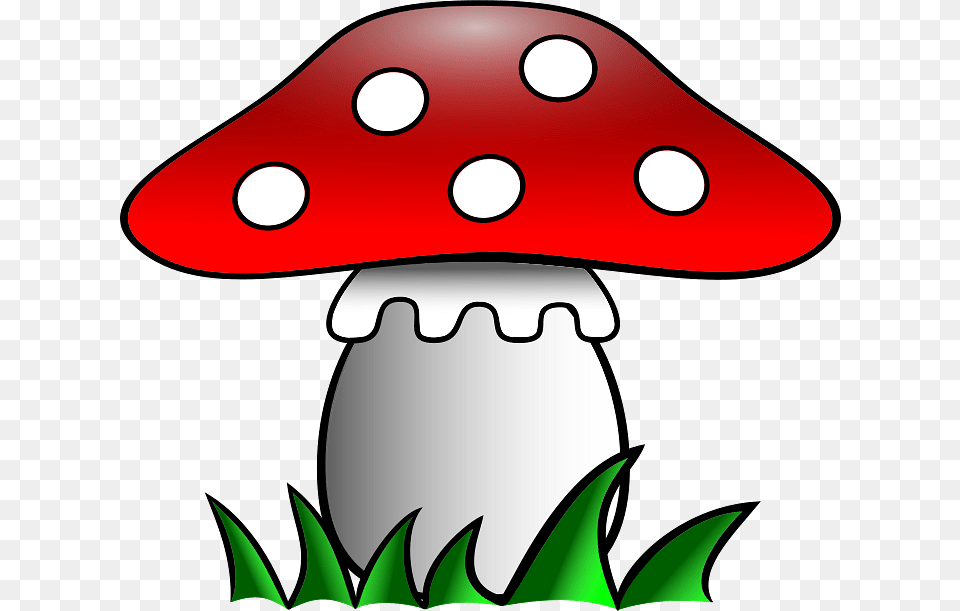 Drawing Of Amanite, Agaric, Fungus, Mushroom, Plant Png Image