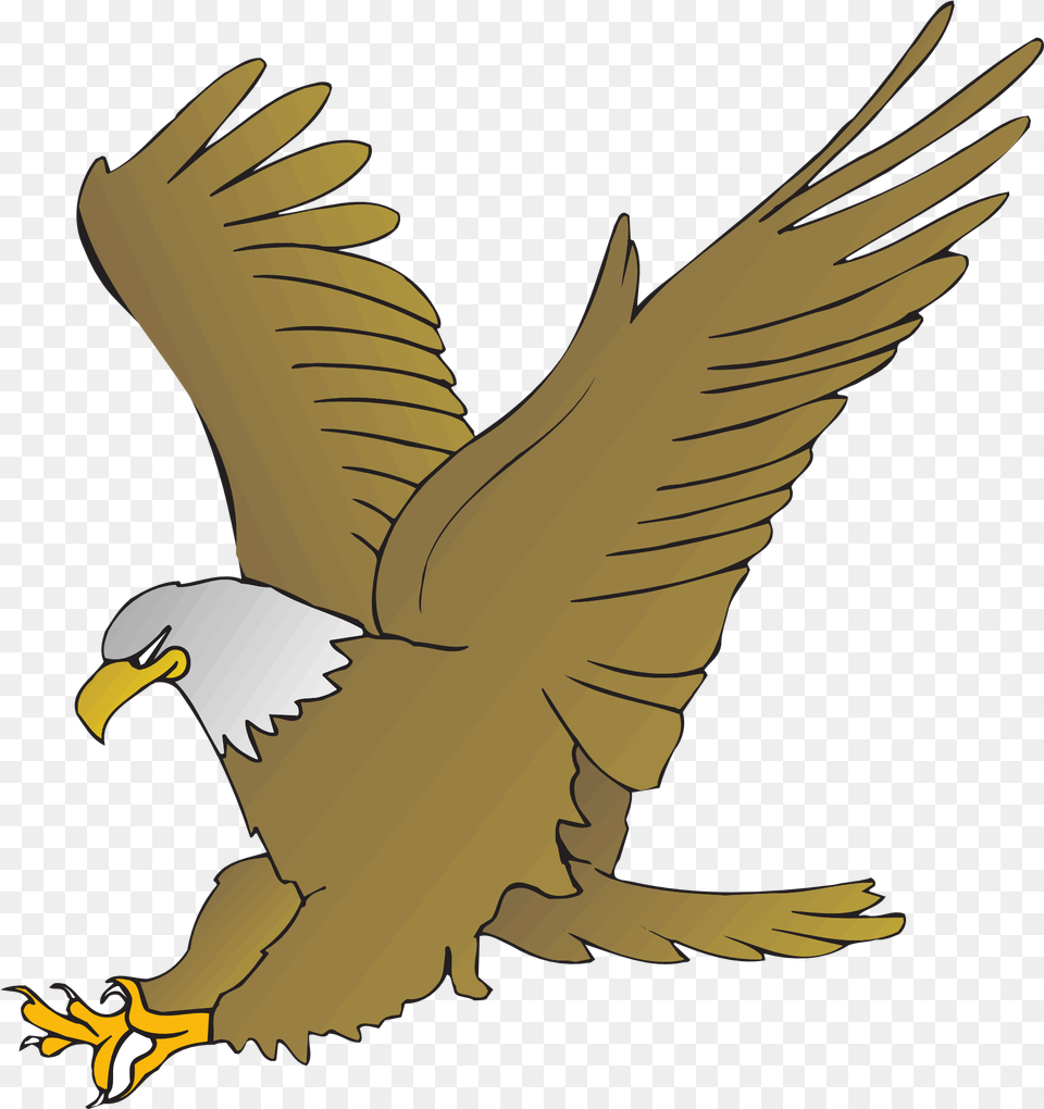 Drawing Of An Eagle With Spread Wings Animated Picture Of Eagle, Animal, Bird, Bald Eagle, Fish Free Png