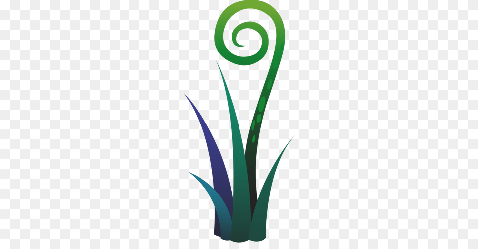 Drawing Of Blue And Green Fern Plant, Spiral, Coil, Aloe Free Transparent Png