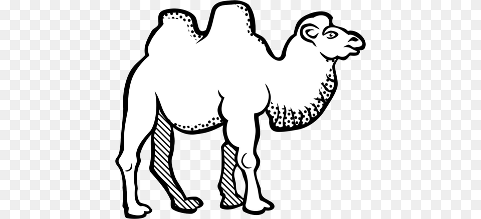 Drawing Of Camel With Spotty Throat Line Art, Animal, Mammal, Kangaroo Free Png Download