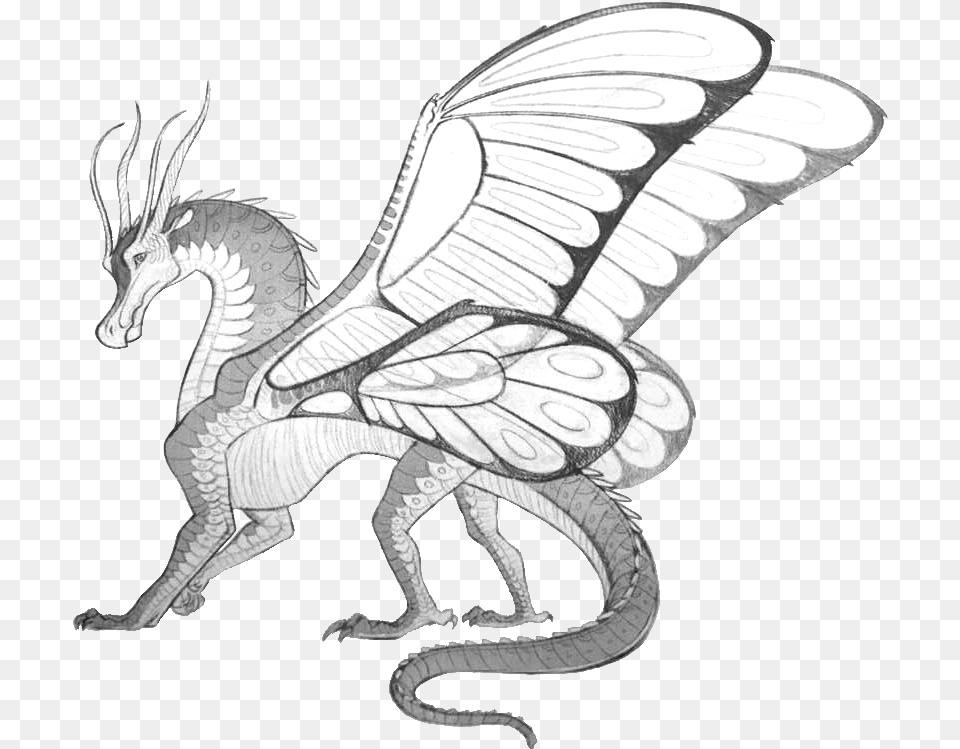 Drawing Of Fire Wings Of Fire Silkwings, Dragon, Animal, Dinosaur, Reptile Png Image