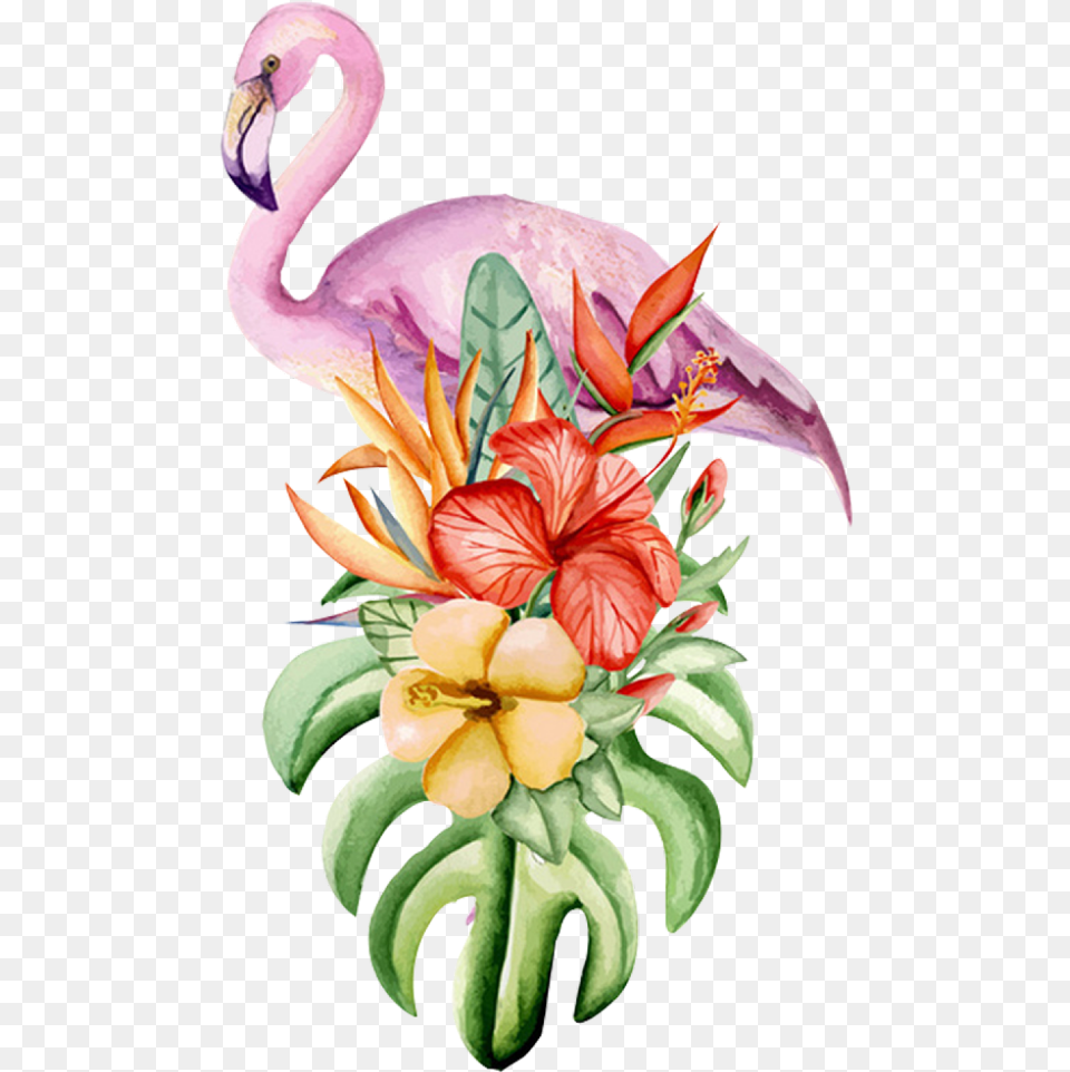 Drawing Of Flamingo With Flowers Clipart Flamingo And Flowers, Plant, Flower, Flower Arrangement, Floral Design Free Png Download