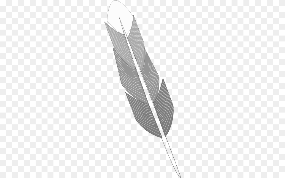 Drawing Of Grey Feather Grayscale Feather, Bottle, Ink Bottle Png Image