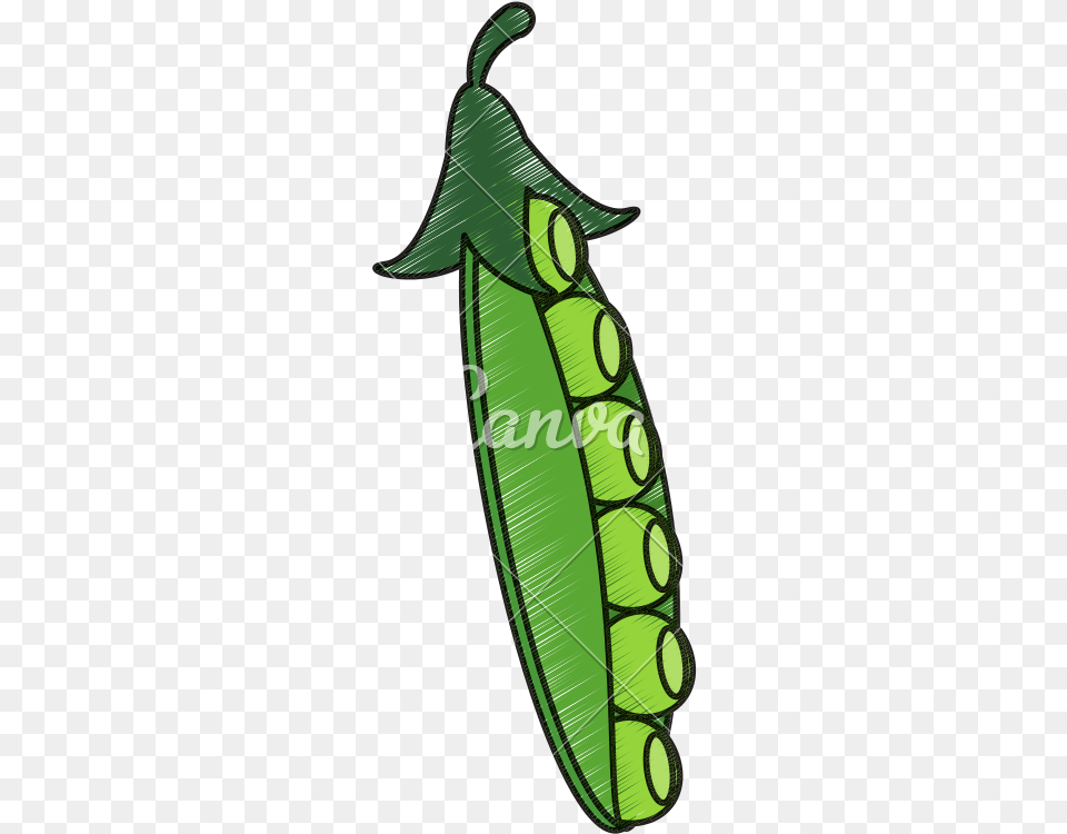 Drawing Of Peapod Snap Pea, Food, Plant, Produce, Vegetable Free Png Download