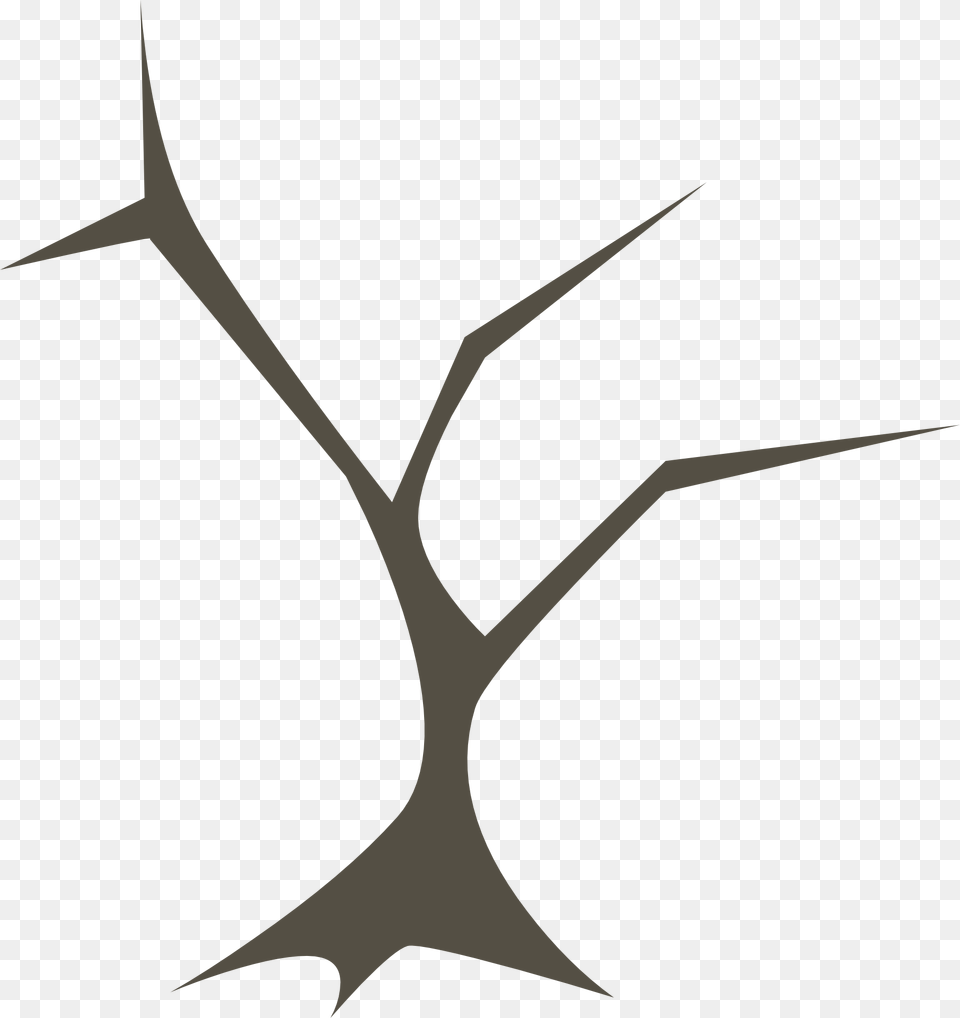 Drawing Of Sharp Tree Branches Without Leaves, Antler, Animal, Fish, Sea Life Png Image
