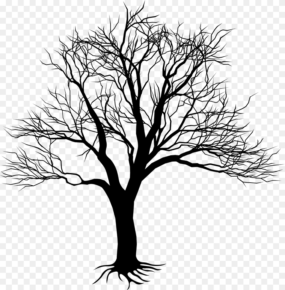 Drawing Of Tree On Wall Clipart Best Tree Drawing Wall Art, Plant, Silhouette Free Png Download