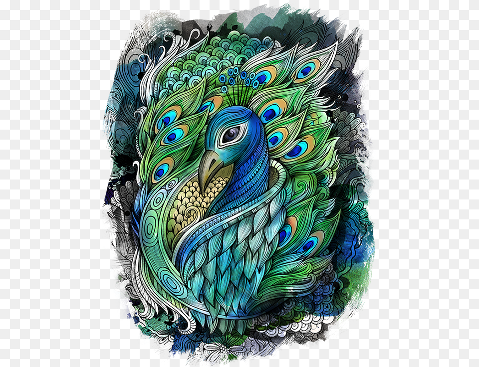 Drawing Peacock Feather, Animal, Bird, Art, Pattern Png