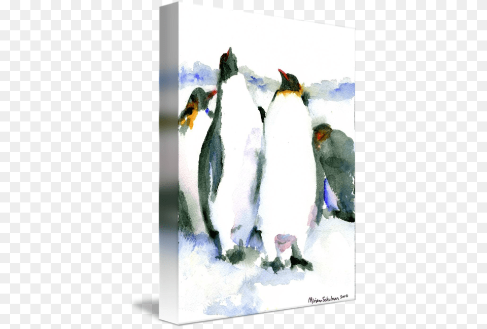 Drawing Penguins Watercolor Transparent Gallery Wrapped Canvas Art Print 11 X 15 Entitled Penguin, Animal, Bird, Adult, Male Free Png