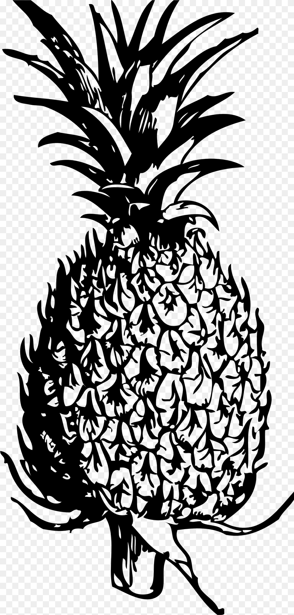 Drawing Pineapple Pine Apple Pineapple Clipart Pineapple Clipart Black And White, Gray Png Image