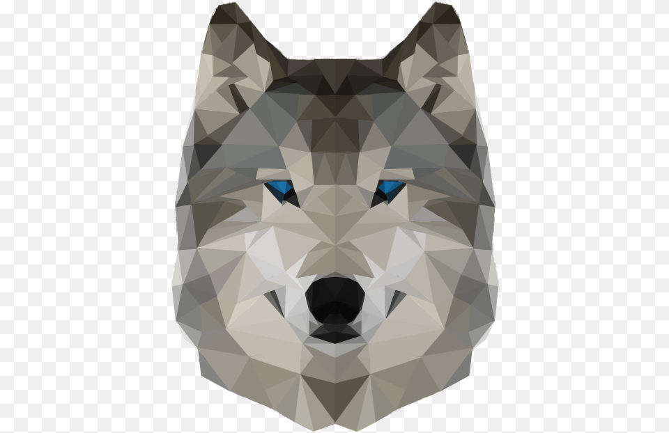 Drawing Polygons Wolf Wolf Head, Animal, Canine, Dog, Mammal Free Transparent Png