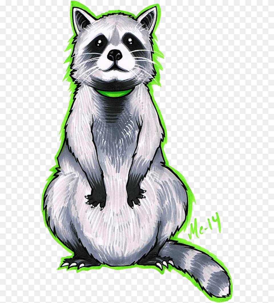 Drawing Raccoon Portrait Raccoon, Animal, Bird, Mammal Free Png