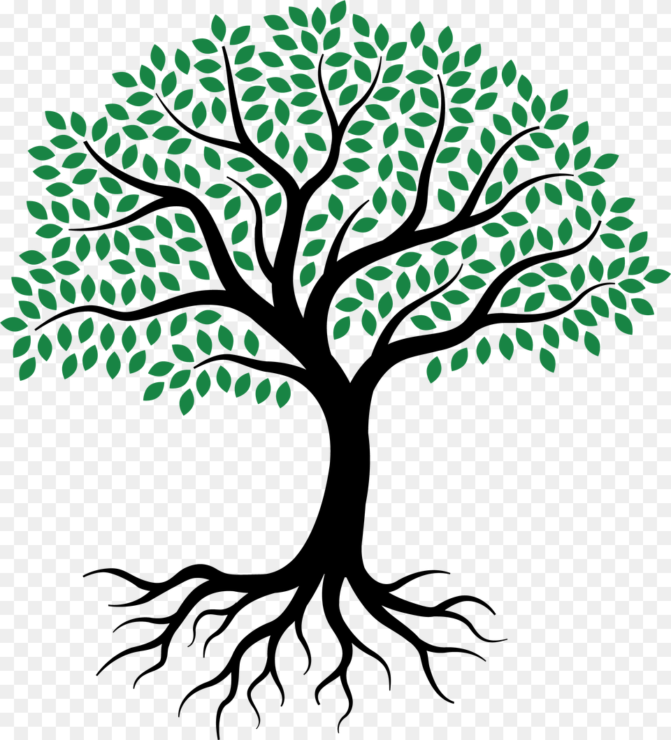 Drawing Root Tree Sketch Draw Tree With Roots, Pattern, Green, Outdoors, Sea Png Image