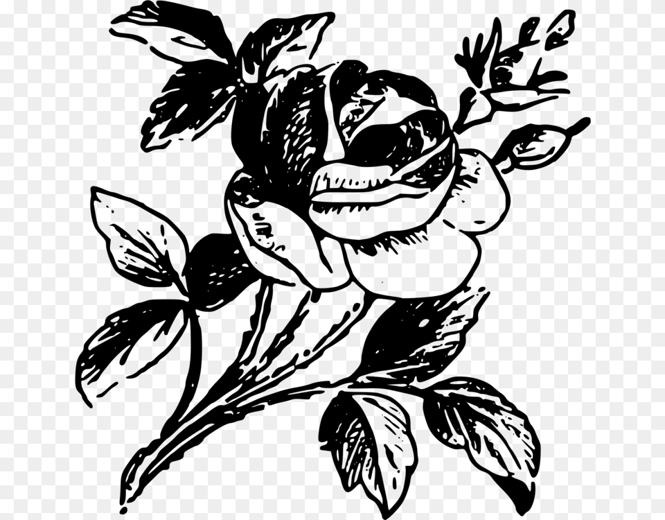Drawing Rose Black And White Stencil Abstrak Mawar Hitam Putih, Gray Free Png Download