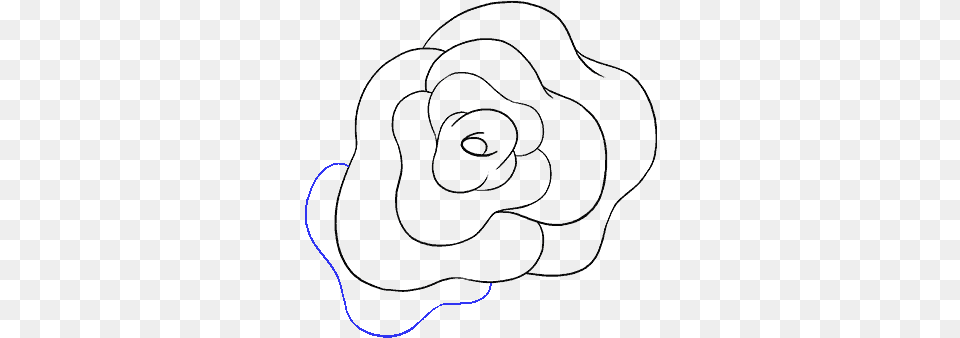 Drawing Rose Line Art, Nature, Night, Outdoors, Light Free Png Download