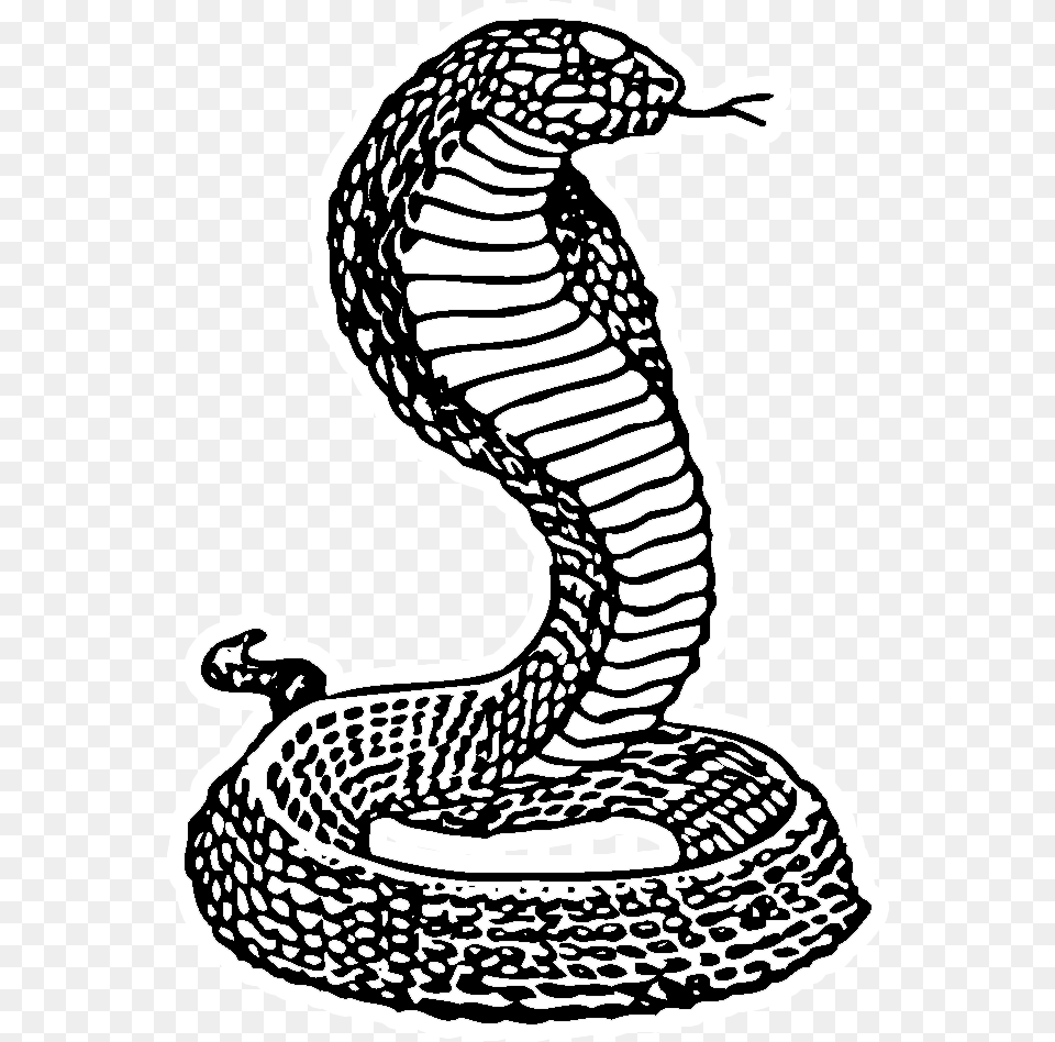 Drawing Serpent, Animal, Cobra, Reptile, Snake Png Image