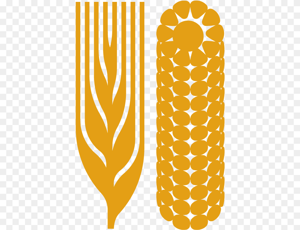 Drawing Shell Logo Illustration, Corn, Food, Grain, Plant Png