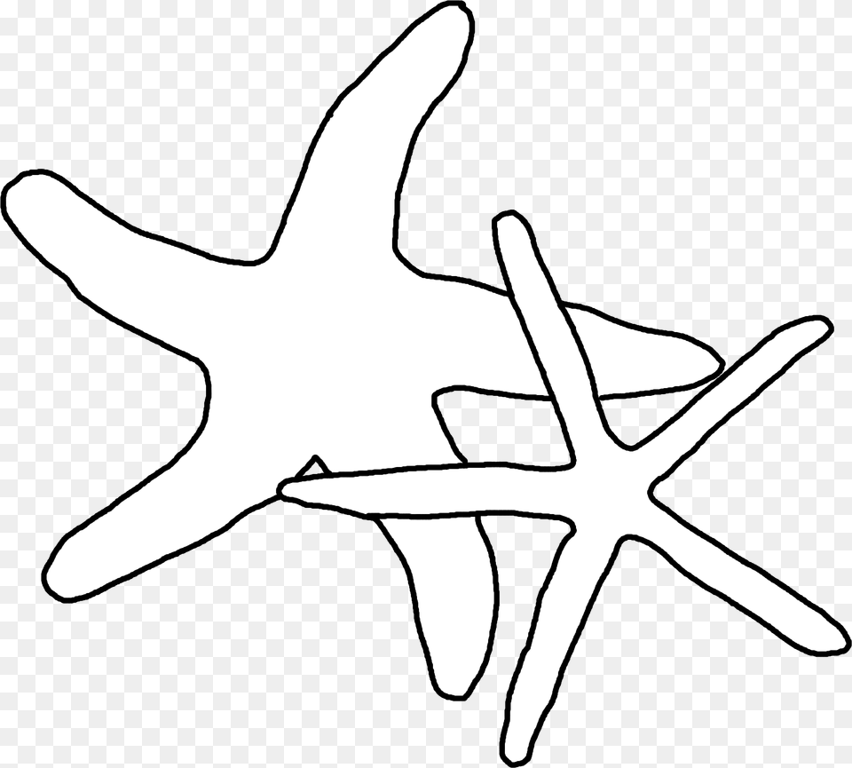 Drawing Shell Starfish Starfish, Animal, Fish, Sea Life, Shark Free Transparent Png