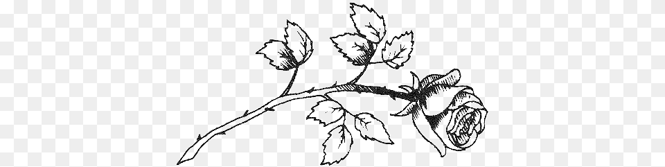 Drawing Sketch Clip Art Drawing, Leaf, Plant, Flower Png Image