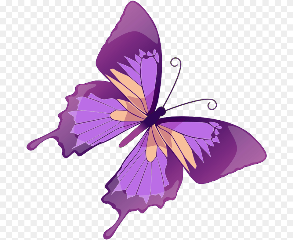 Drawing Spring Butterfly Clipart Purple Butterfly, Flower, Plant, Petal Free Png