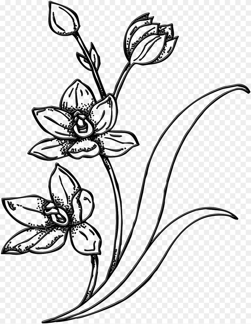 Drawing Spring Garden Pencil Butterflies And Flower Drawings, Art, Floral Design, Graphics, Pattern Free Transparent Png