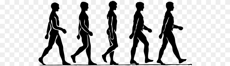 Drawing The Human Figure Tips For Beginners Man Walking Step By Step, Gray Png