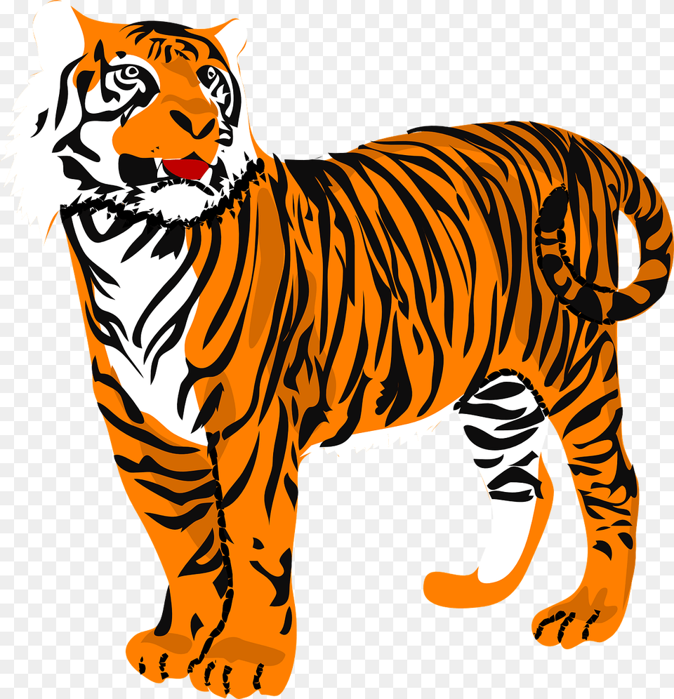 Drawing Tigers Angry Transparent Transparent Clipart Tiger, Animal, Mammal, Wildlife Png Image