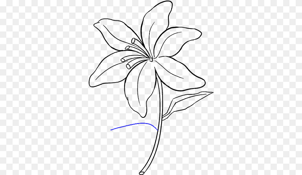 Drawing Tigers Lilies Lily Flower Drawing Easy, Lighting, Computer Hardware, Cutlery, Electronics Free Png Download