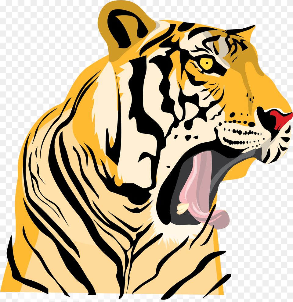 Drawing Tigers Roaring Tiger Roaring Drawing Cartoon, Mammal, Animal, Wildlife, Person Png Image