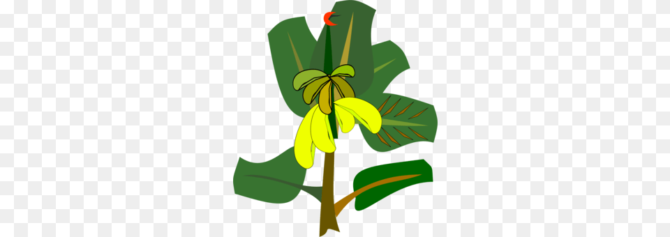 Drawing Tree, Leaf, Flower, Plant, Green Free Png Download