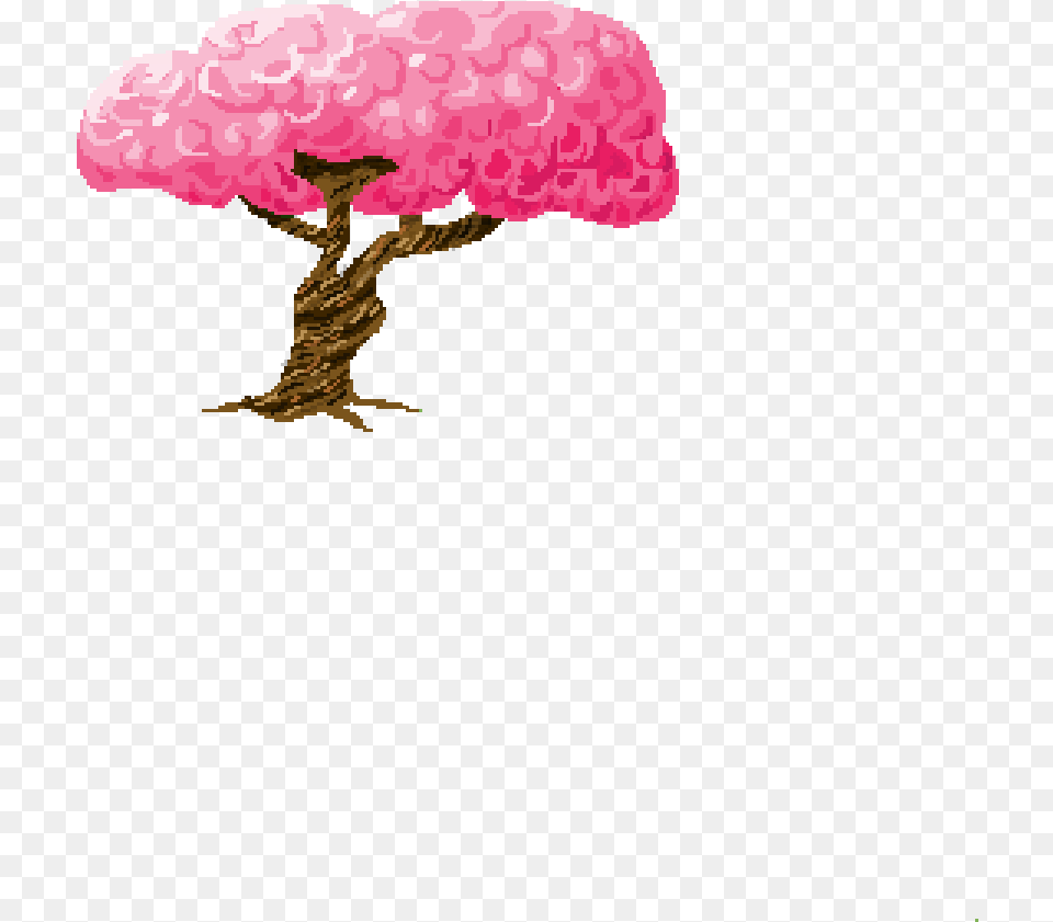 Drawing Tree On Fire Drawing, Carnation, Flower, Plant, Flower Arrangement Free Transparent Png