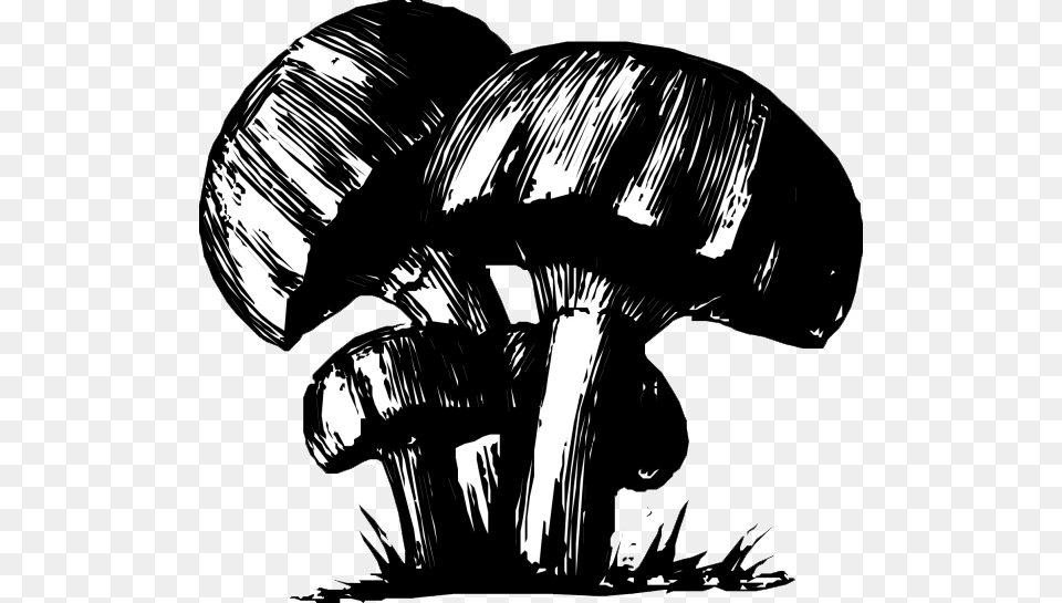 Drawing Trippy Mushroom, Art, Animal, Dinosaur, Reptile Png