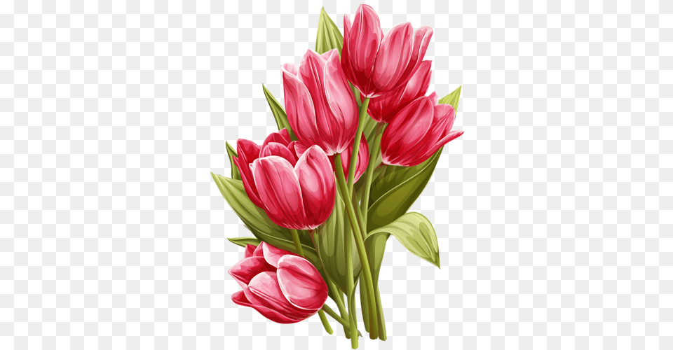 Drawing Tulips Vintage Tulips, Flower, Flower Arrangement, Flower Bouquet, Plant Free Transparent Png