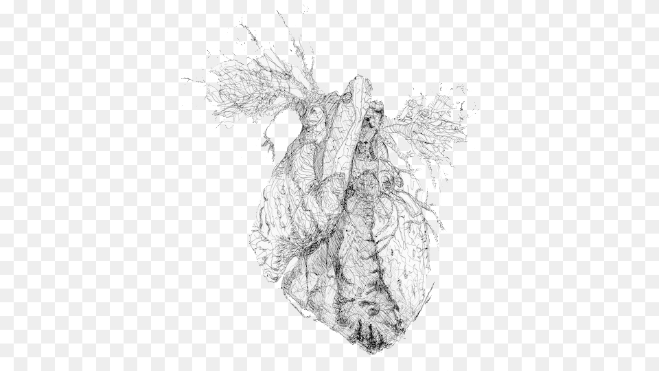 Drawing Tumblr Heart Blog Heart Heart Flower Drawing, Art, Knot, Chandelier, Lamp Free Png Download
