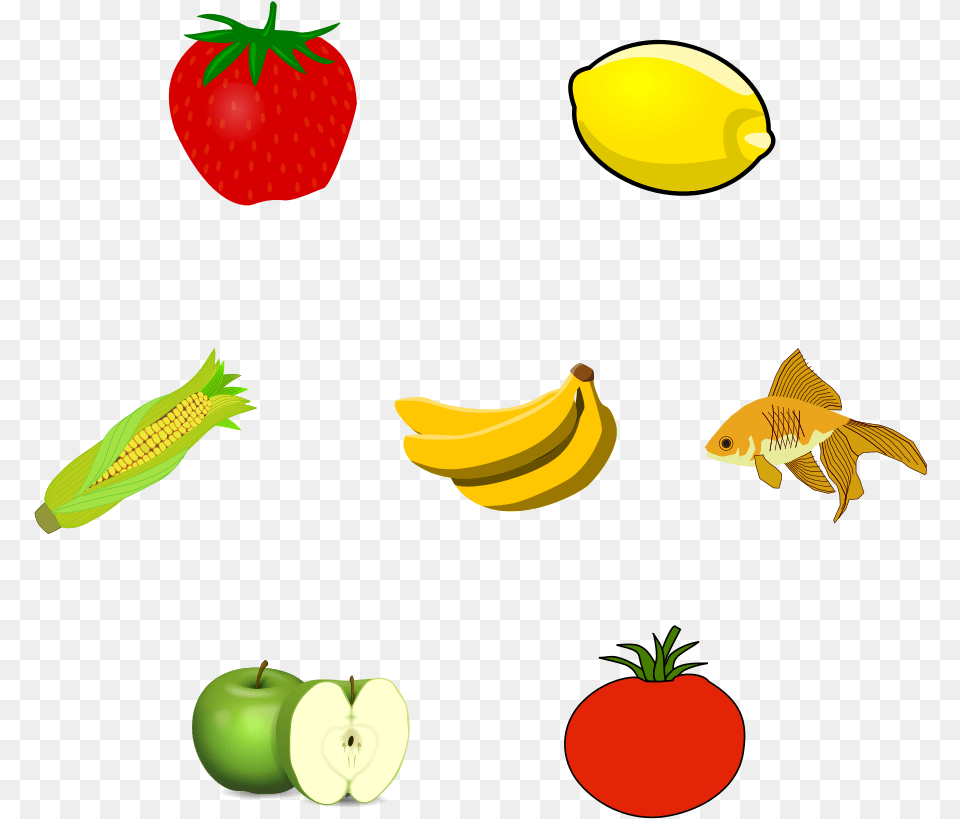 Drawing Vegetable Easy Odd One Out Fruits And Vegetables, Animal, Sea Life, Produce, Plant Png