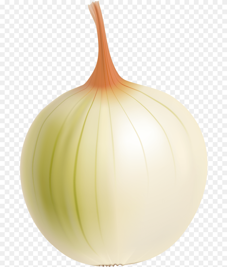 Drawing Vegetable Onion Yellow Onion, Food, Produce, Plant Png