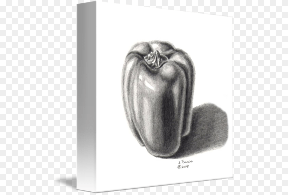 Drawing Vegetable Pepper Green Pepper Drawing, Bell Pepper, Food, Plant, Produce Png Image