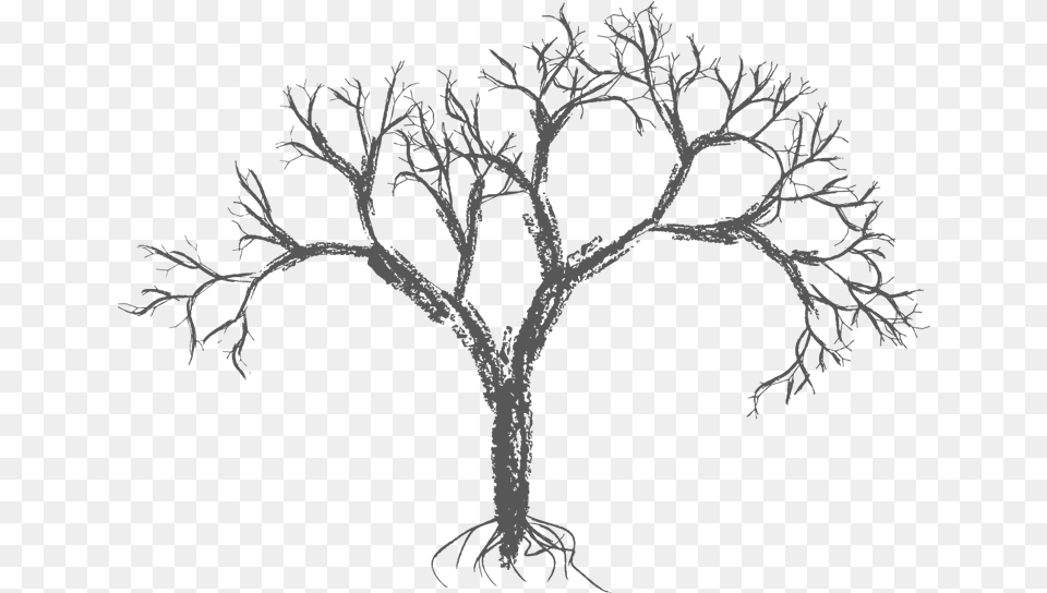 Drawing Wall Easy Vector Tree, Art Free Png Download