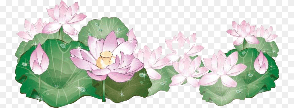 Drawing Water Flower Clip Art Transparent Background Lotus Line Art, Plant, Petal, Lily, Pond Lily Free Png Download