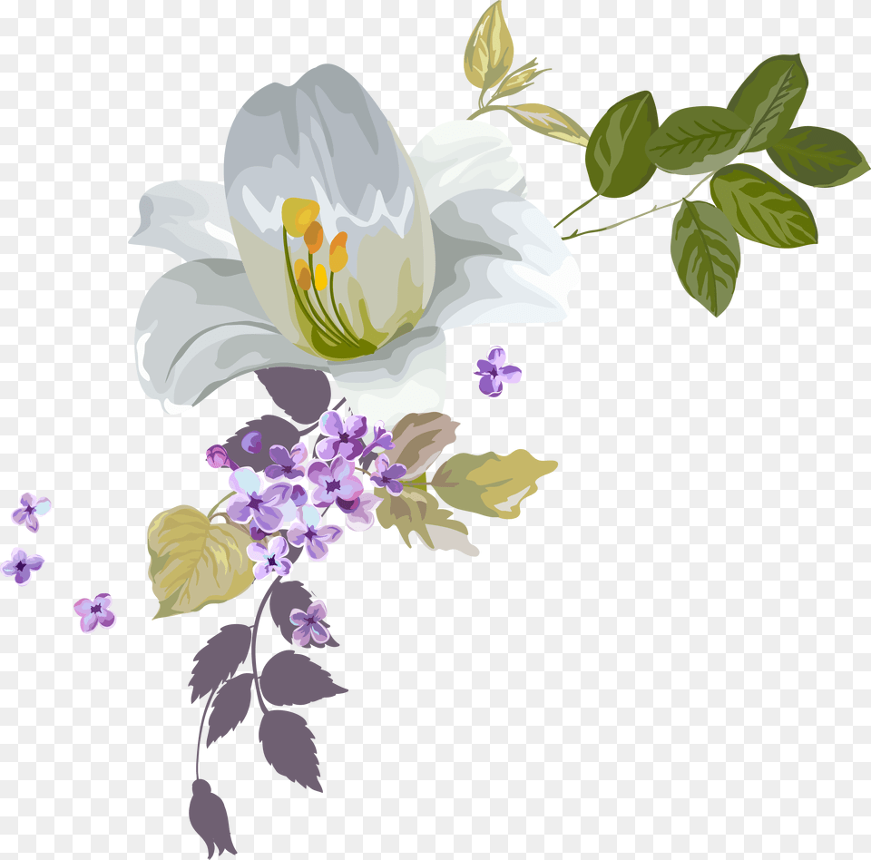 Drawing Water Watercolor, Flower, Plant, Art, Graphics Png Image