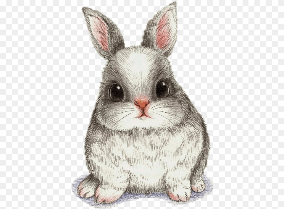 Drawing Watercolor Painting Art Cute Bunny Drawing Beautiful Drawing Pencil Shading, Animal, Mammal, Rabbit, Rat Png Image