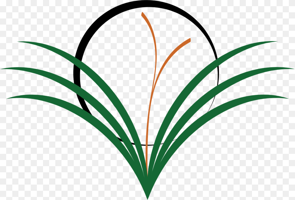 Drawing Weed Lawn Computer Icons String Trimmer, Plant Png Image
