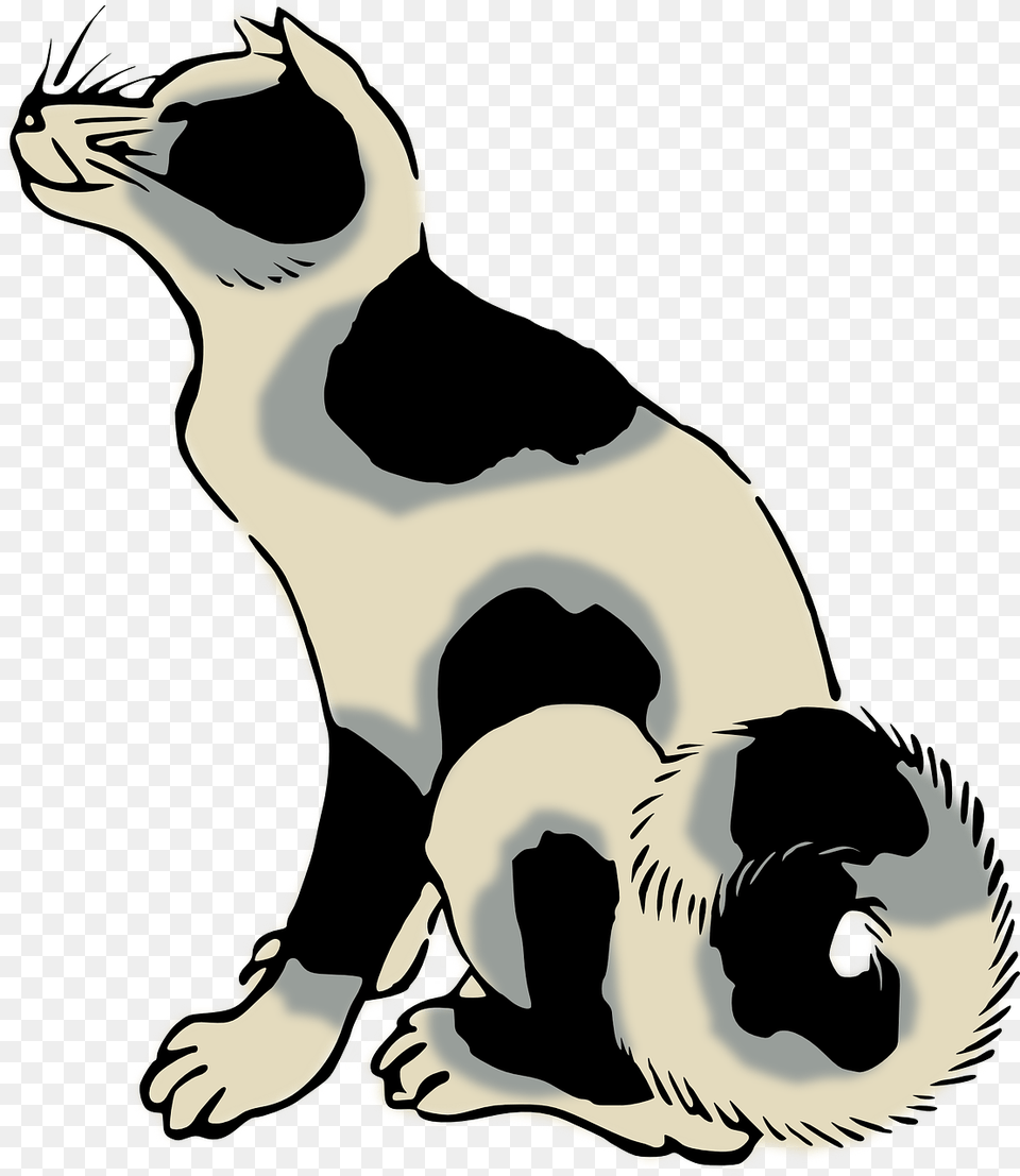 Drawing Whiskers Cat Dog Computer Icons Breed Vs Species, Animal, Bird, Penguin, Adult Png Image