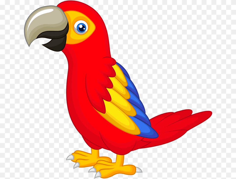 Drawing With Colour At Getdrawings Com Parrot Clipart, Animal, Beak, Bird Png Image